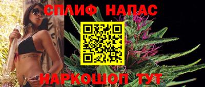 МДПВ Краснознаменск